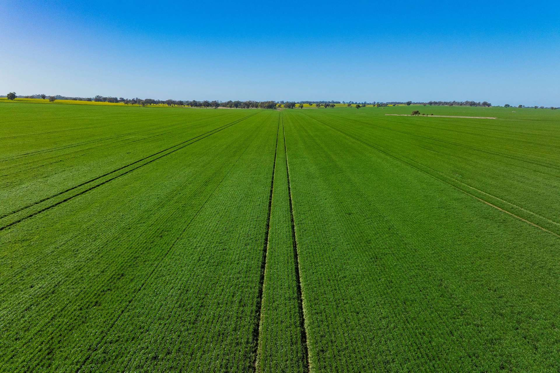 Farms For Sale NSW