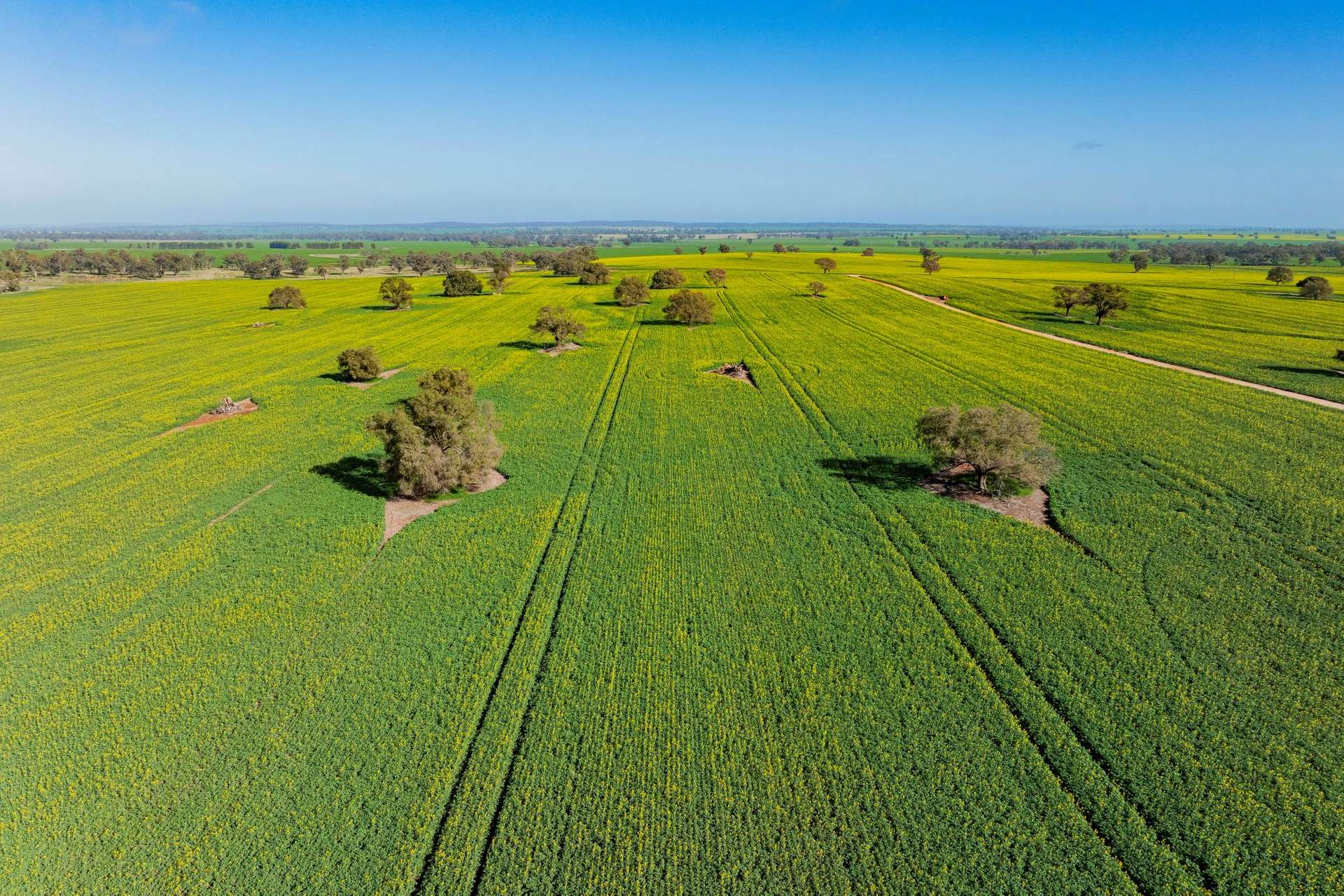 Farms For Sale NSW