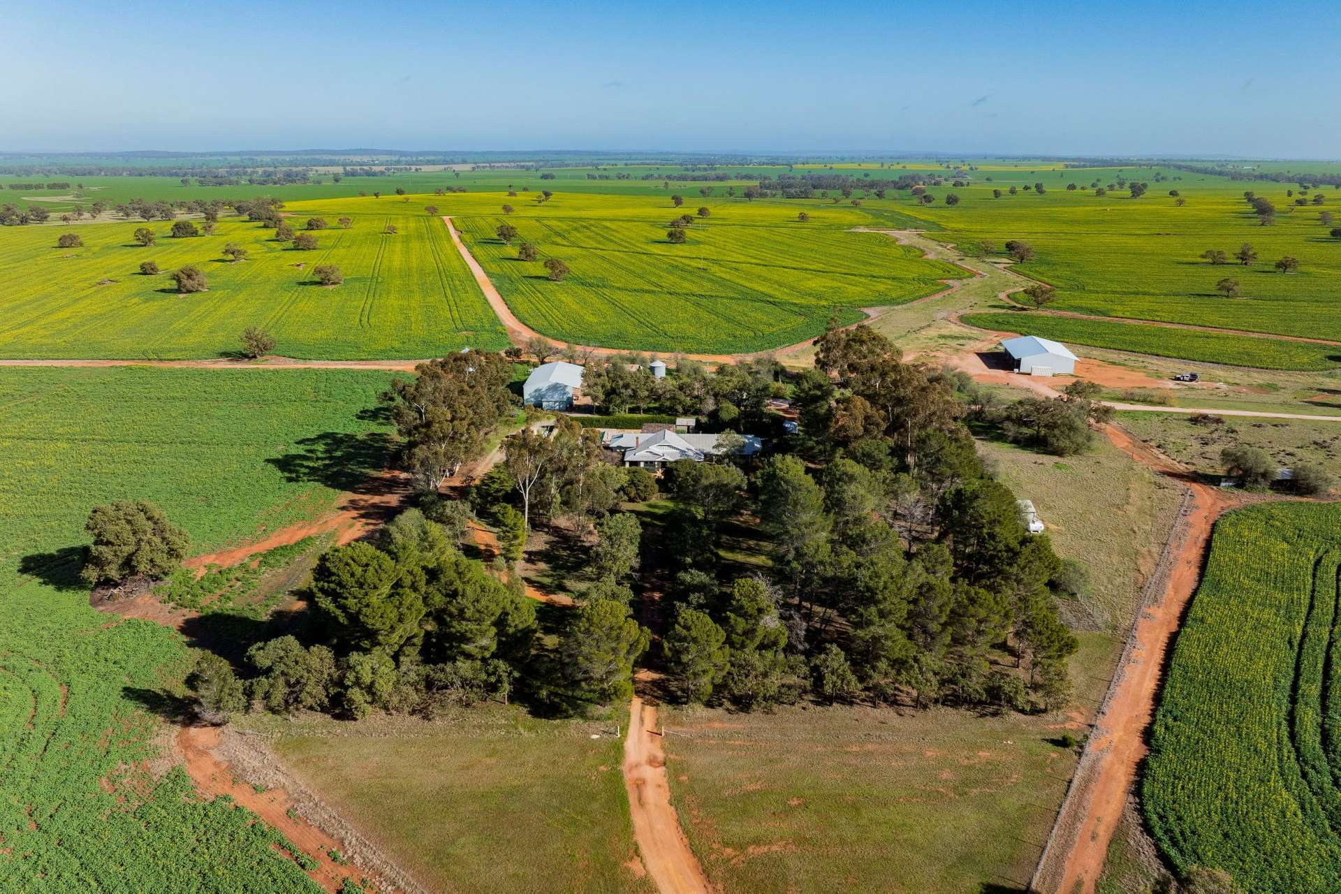 Farms For Sale NSW