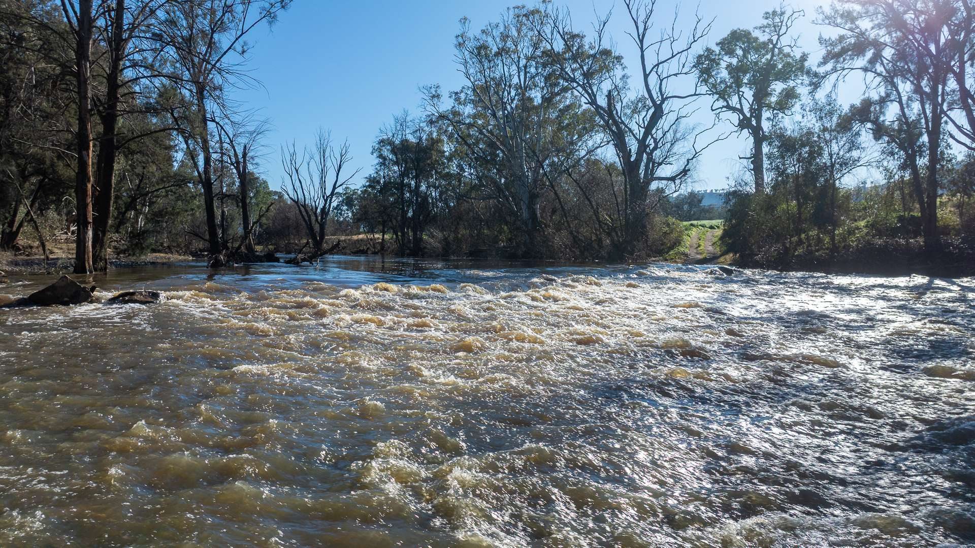 rural property for sale NSW