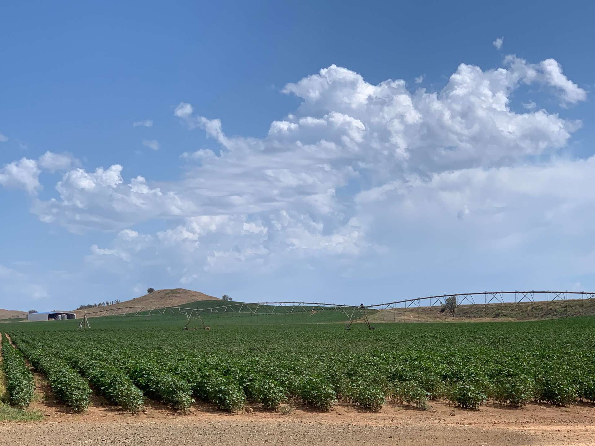 rural property for sale NSW