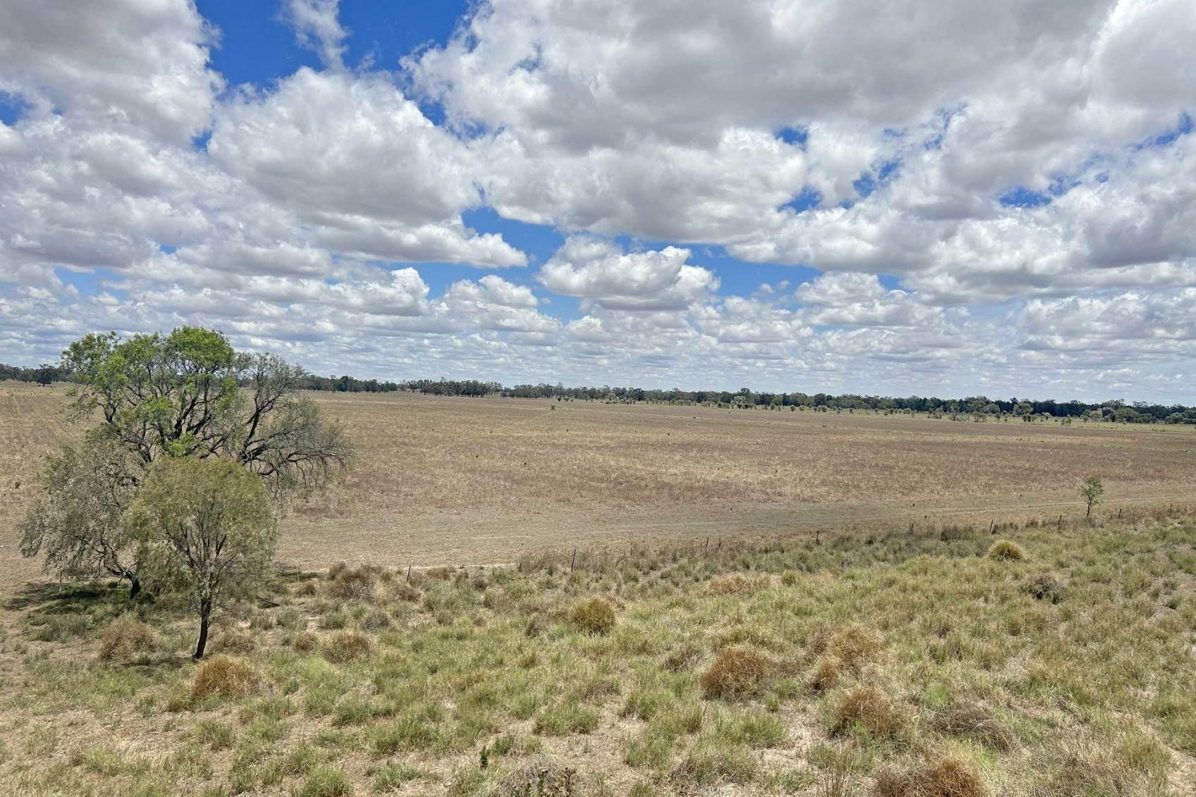Rural Property For Sale NSW