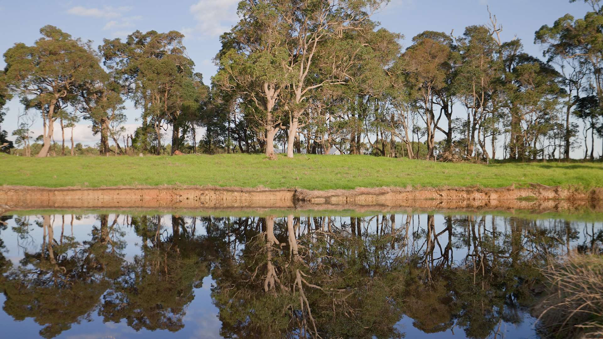 rural lifestyle property for sale WA