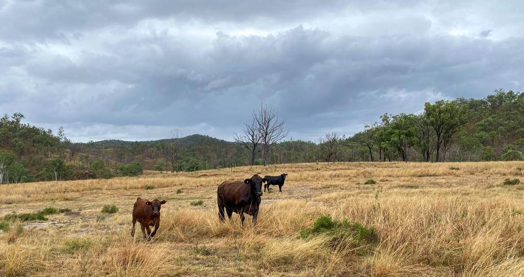 rural property for sale QLD