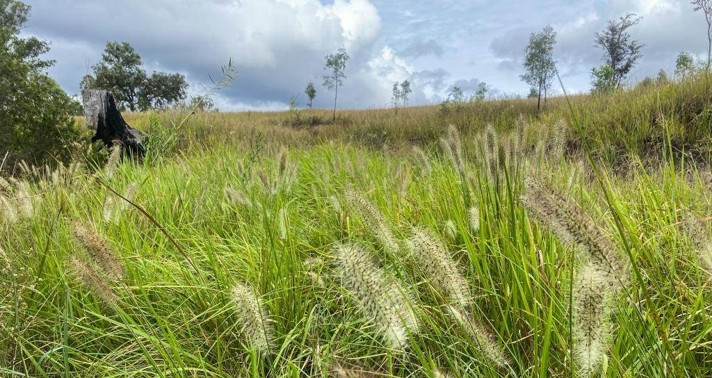 rural property for sale QLD