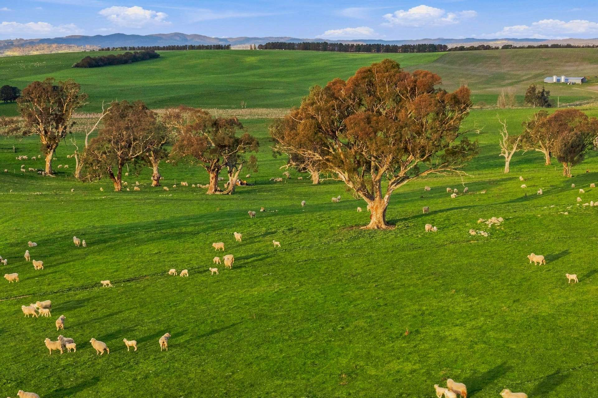 rural property for sale NSW