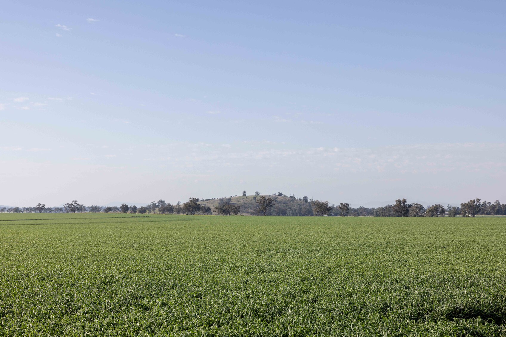 farm for sale northern NSW