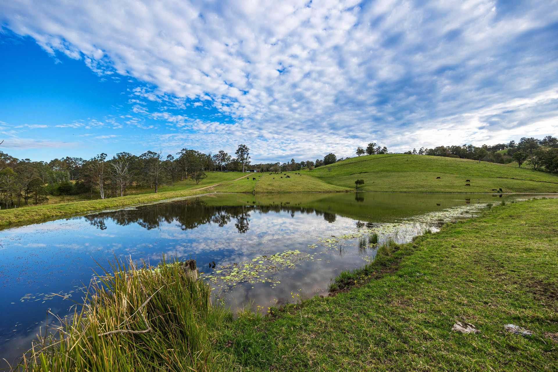 rural property for sale NSW Mid Coast