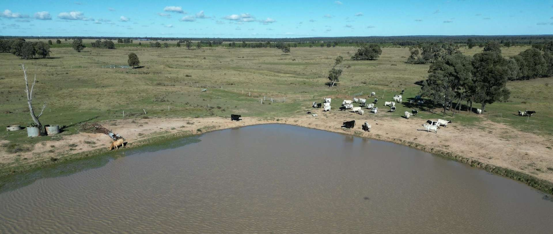 cattle property for sale QLD