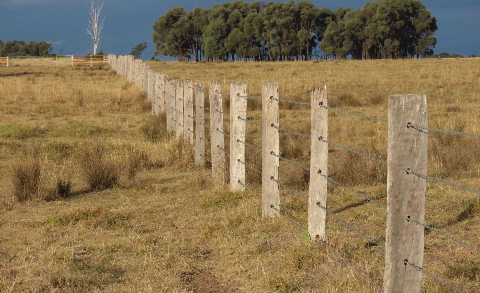 cattle property for sale QLD