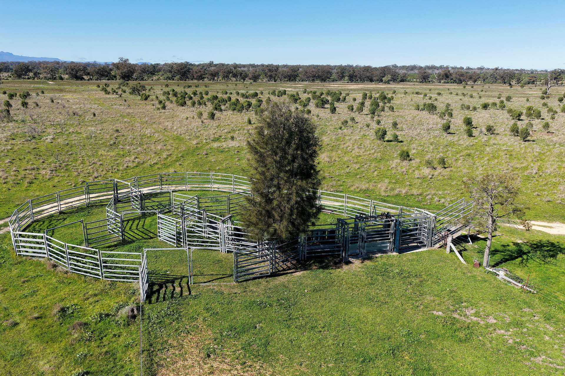 Cattle Property For Sale NSW
