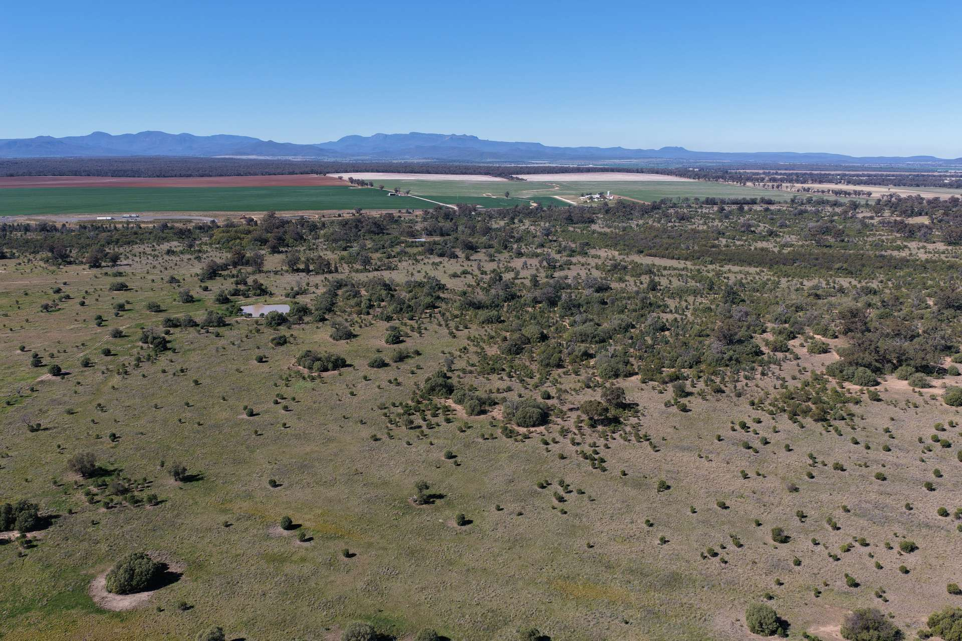 Cattle Property For Sale NSW
