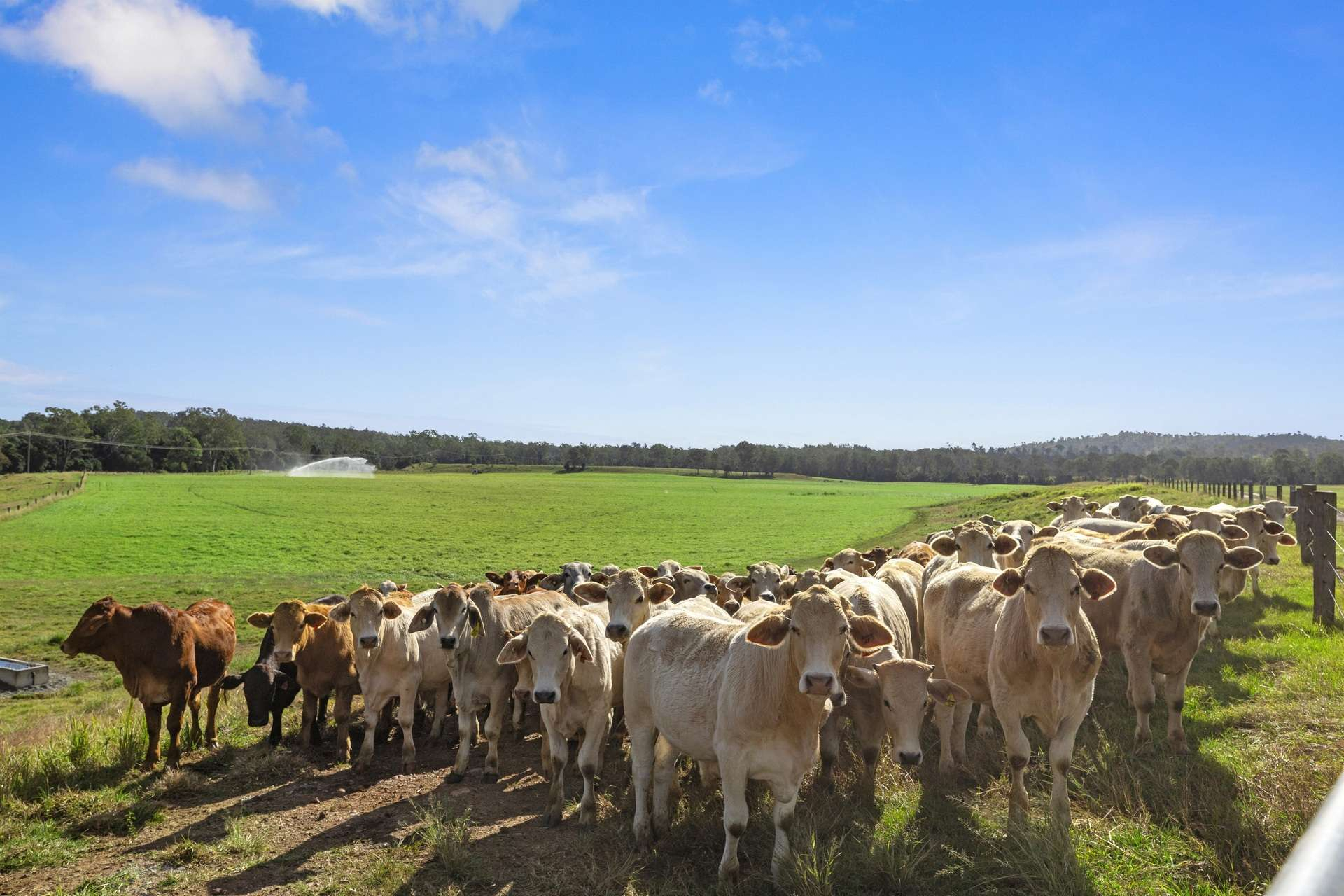 mixed farm for sale QLD