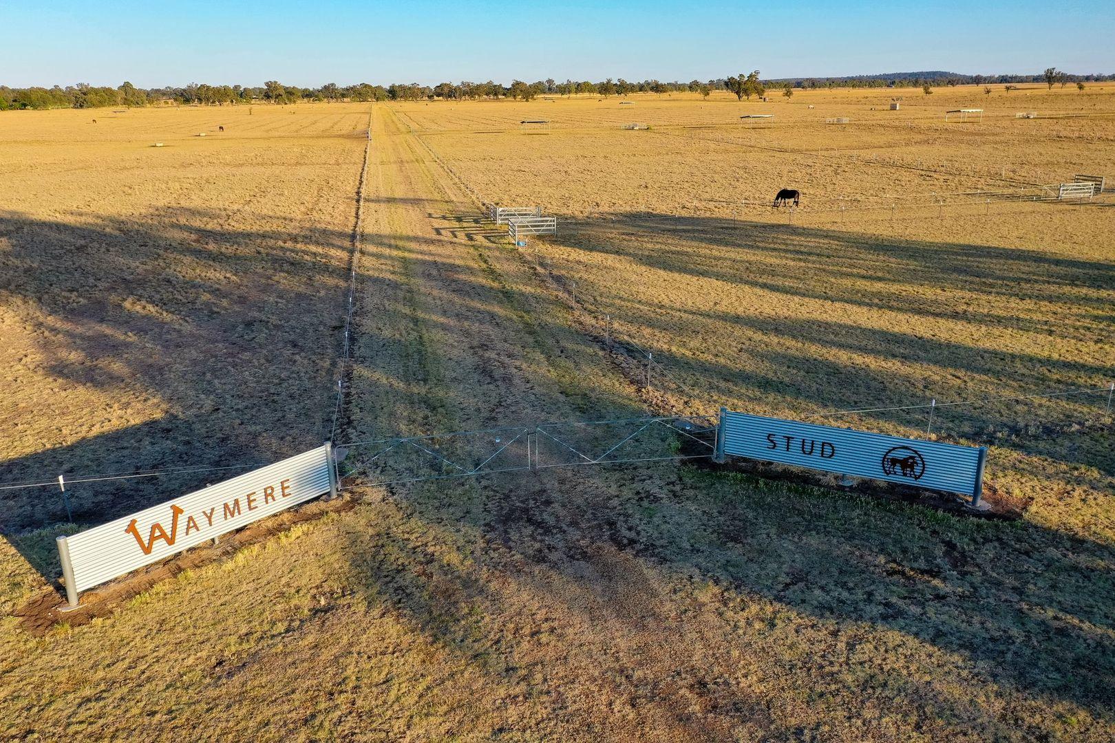 Horse Breeding And Cattle Grazing Property For Sale Narrabri