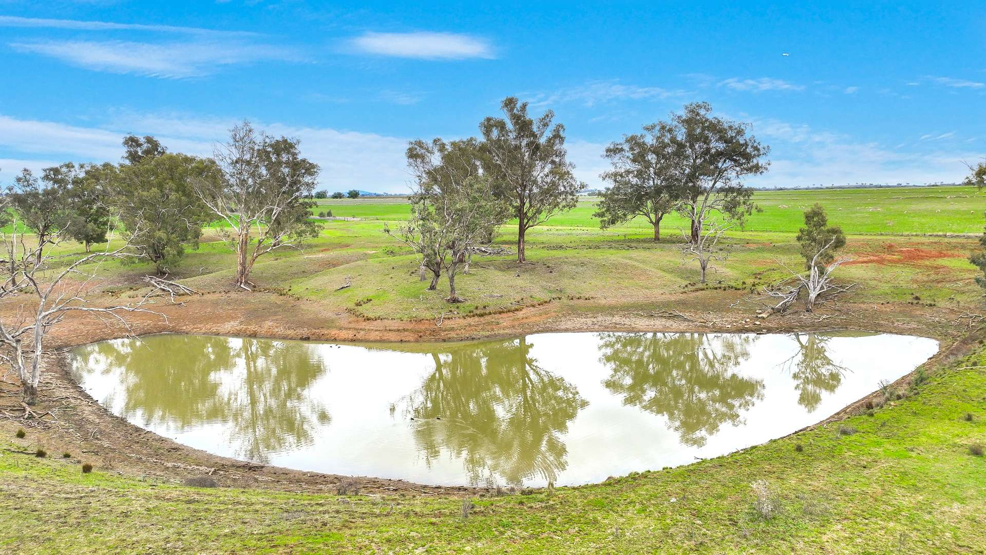 Cropping and grazing property for sale NSW