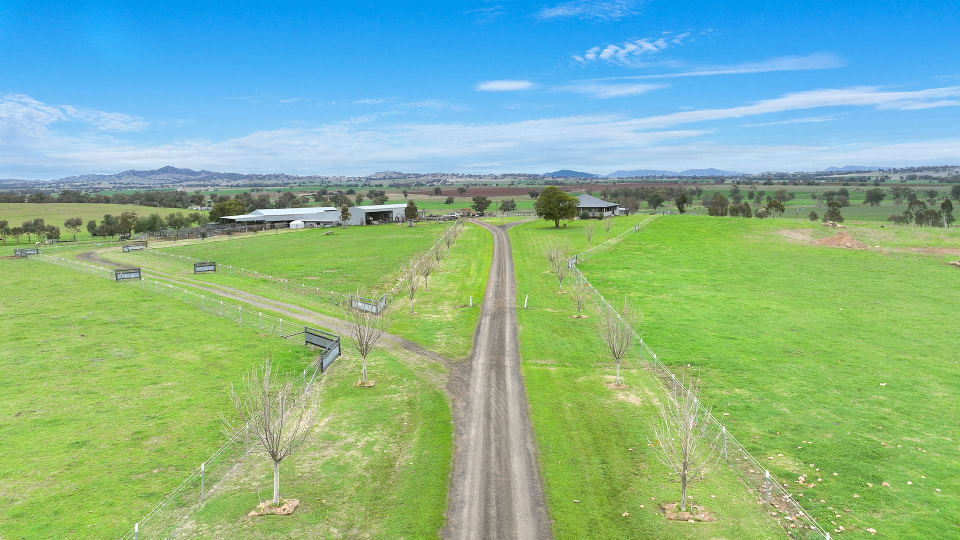 Cropping and grazing property for sale NSW