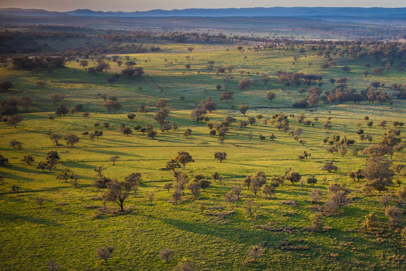 rural property for sale NSW
