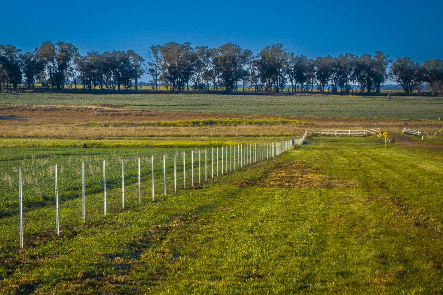 rural property for sale NSW