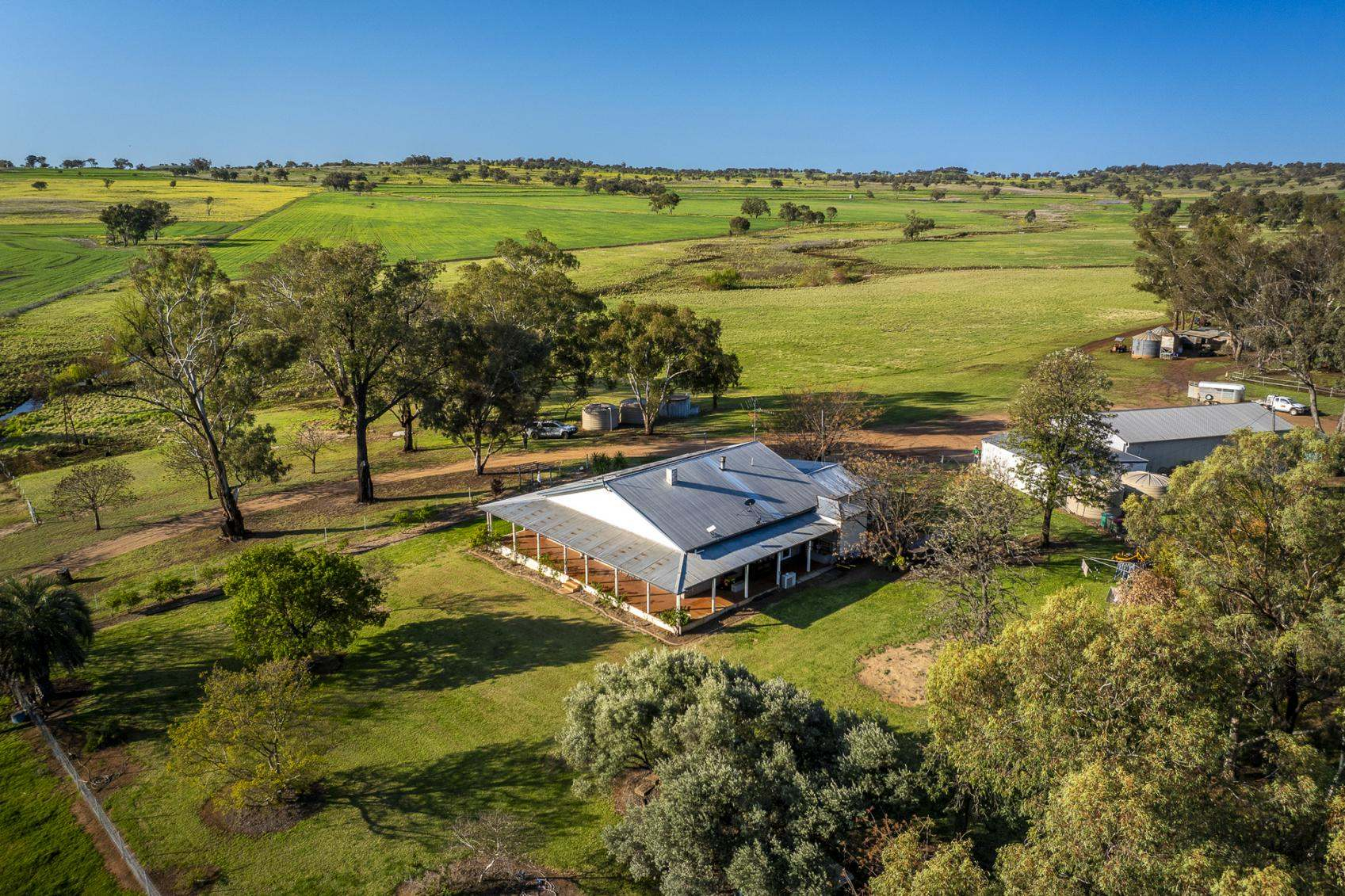 rural property for sale NSW