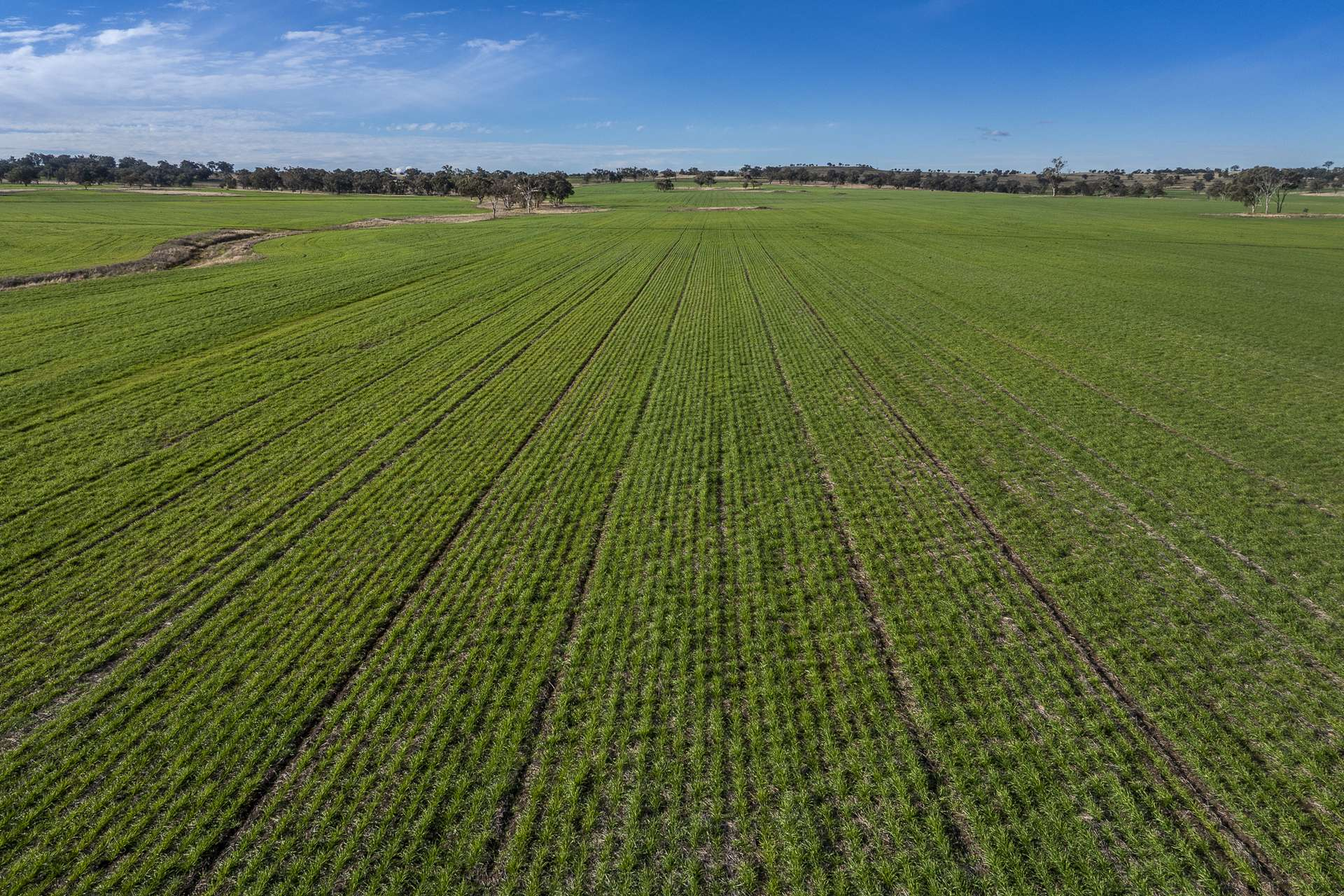 rural property for sale NSW
