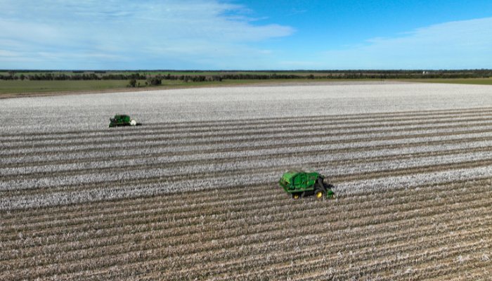 Farm For Sale NSW