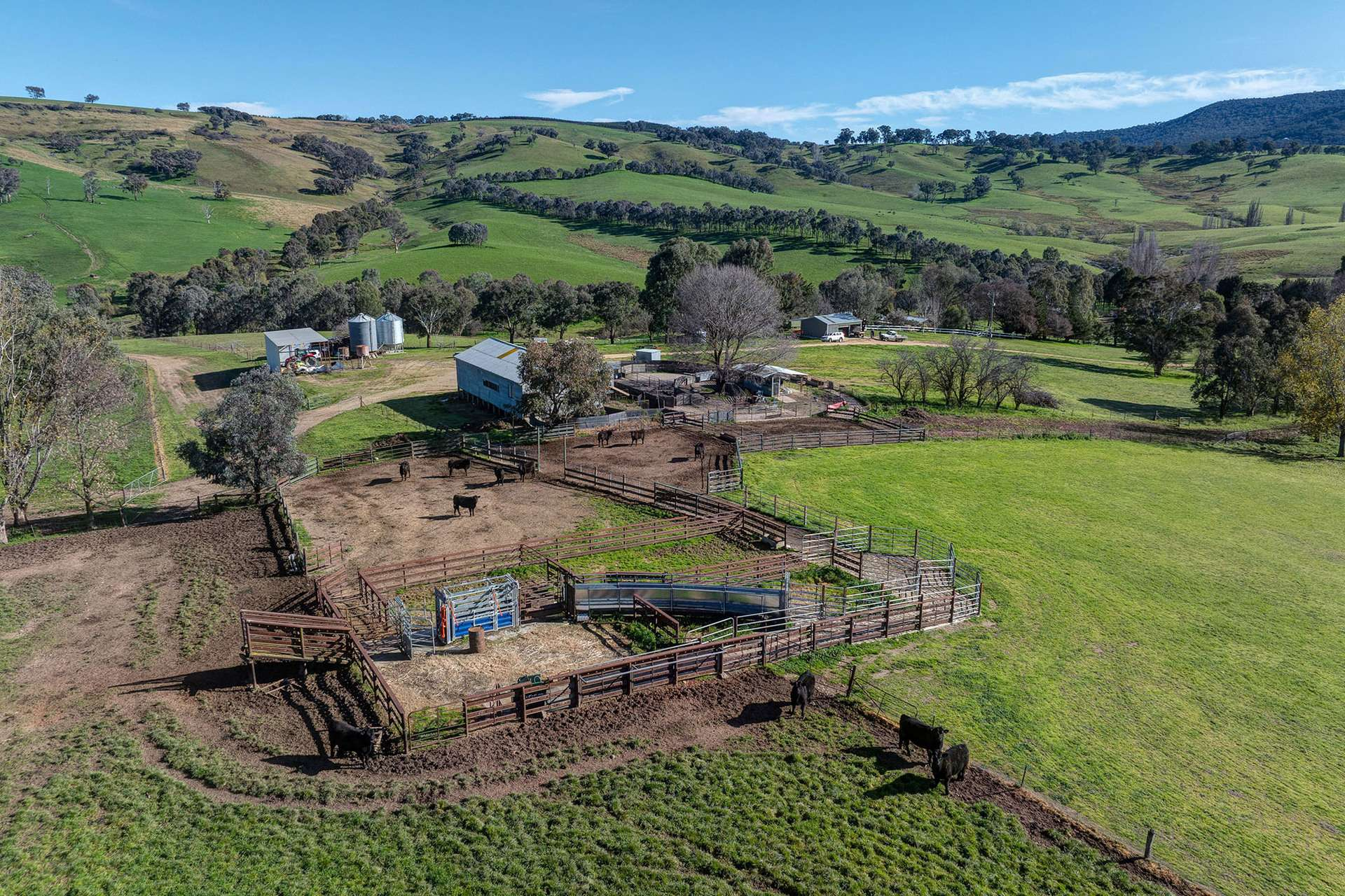 Cattle And Sheep Property For Sale NSW