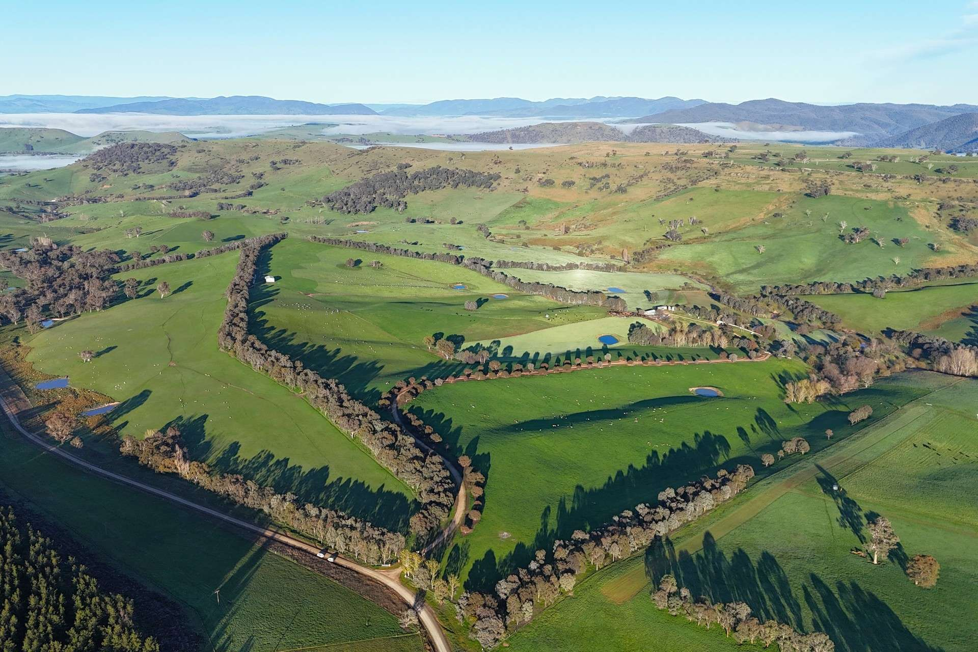 Cattle And Sheep Property For Sale NSW