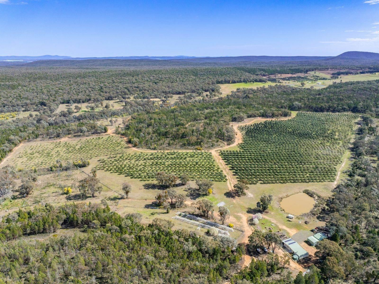 Rural Property For Sale NSW