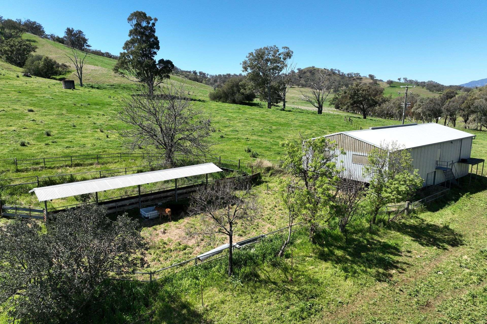 rural property for sale Upper Hunter NSW