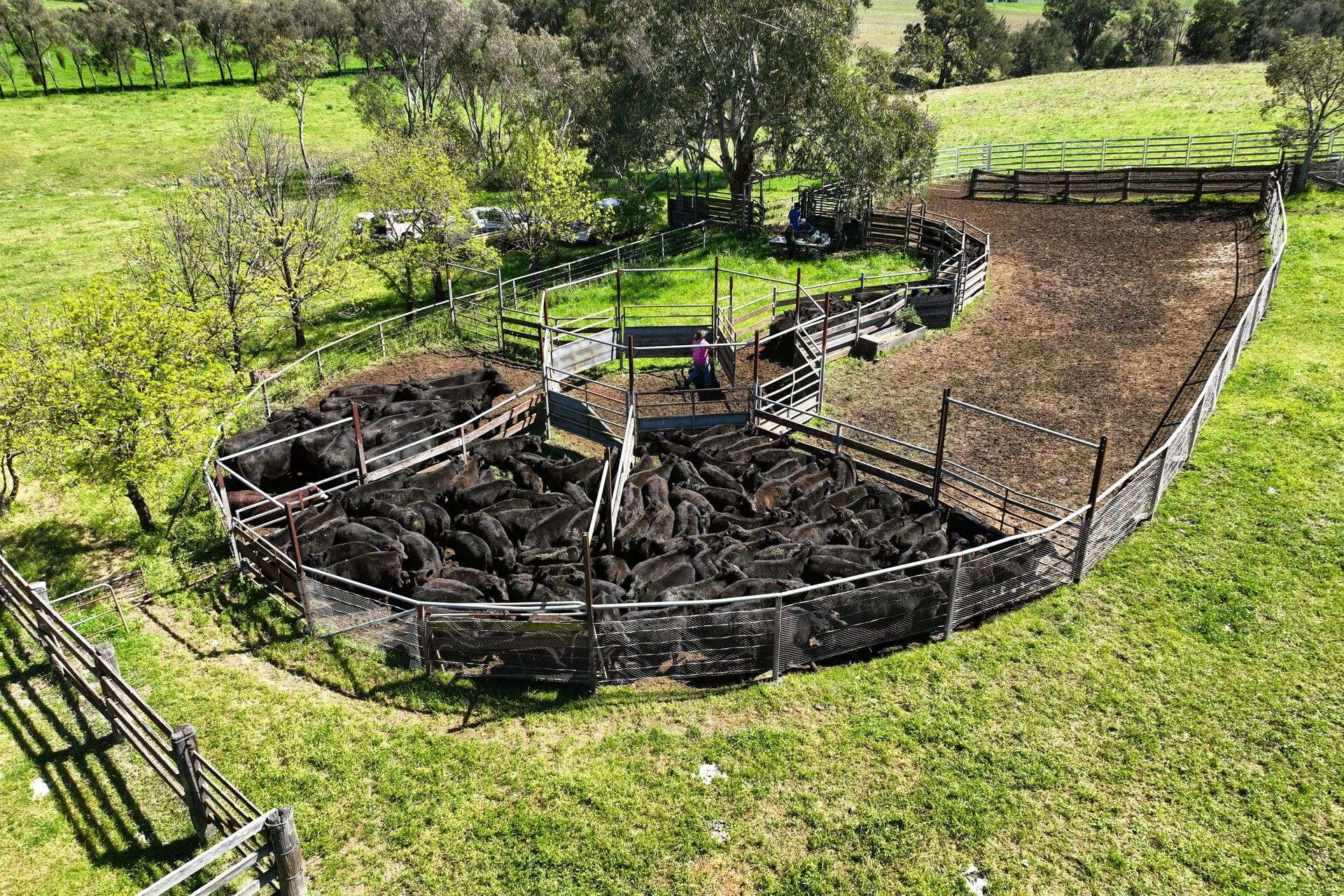 rural property for sale Upper Hunter NSW