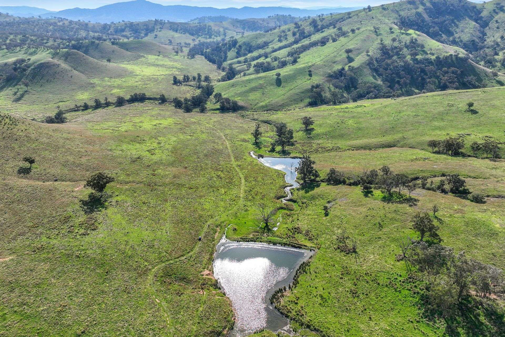 rural property for sale Upper Hunter NSW