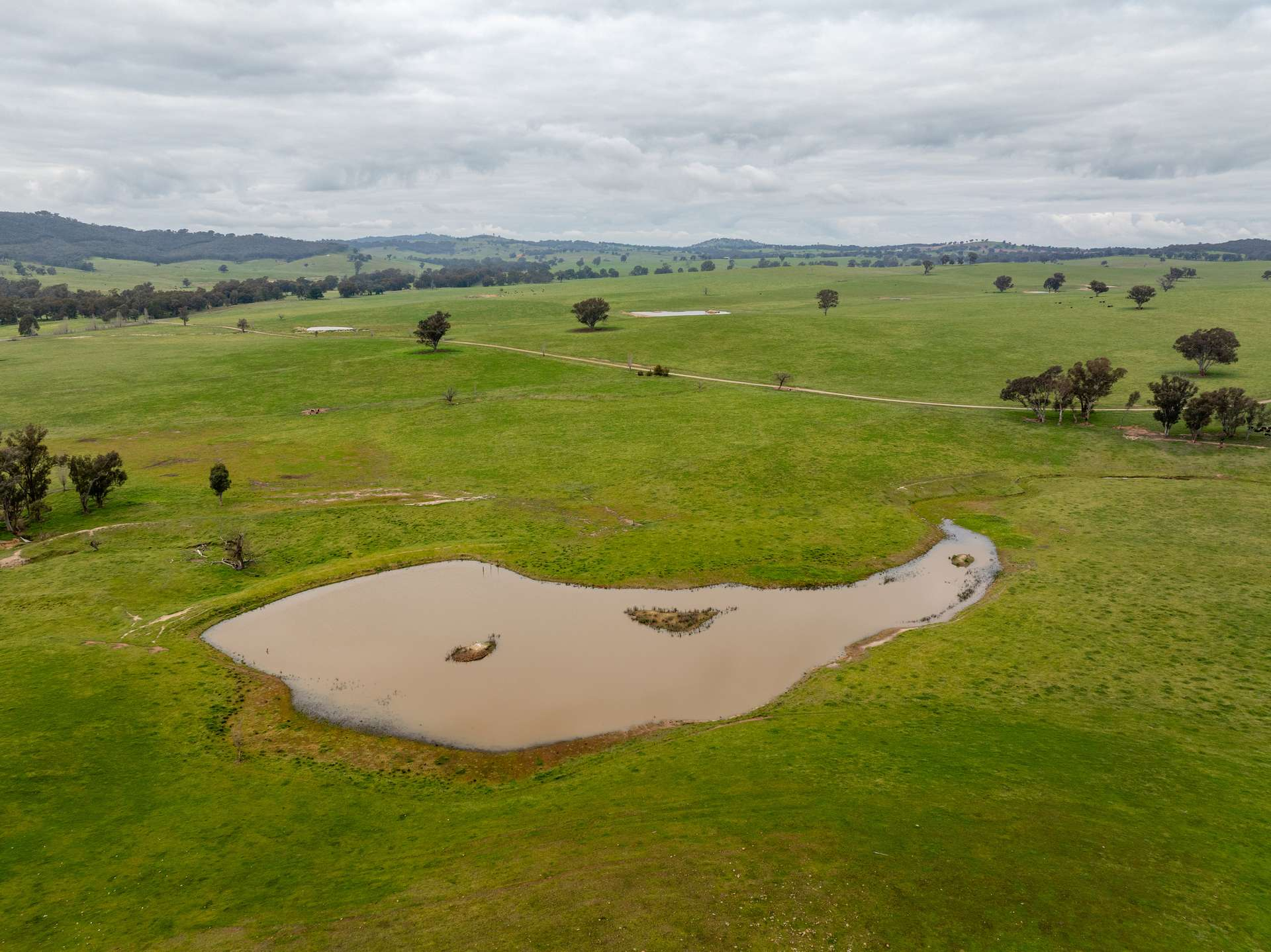 Cattle Property For Sale NSW