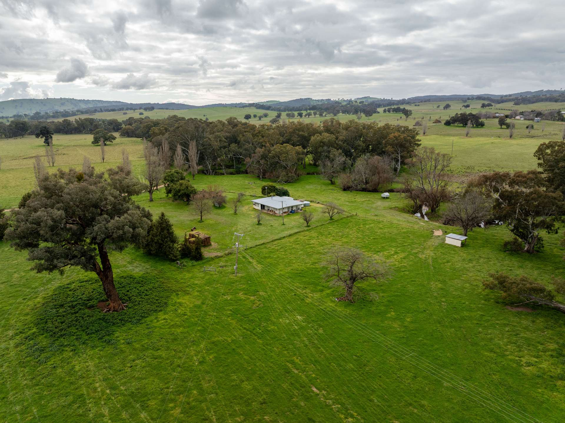 Cattle Property For Sale NSW