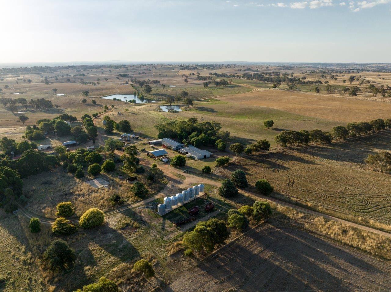 Farm For Sale NSW