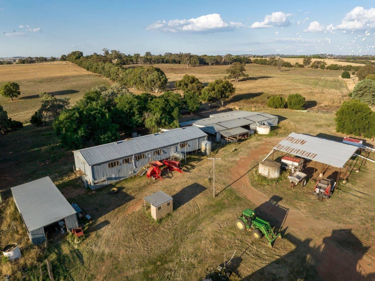 Farm For Sale NSW