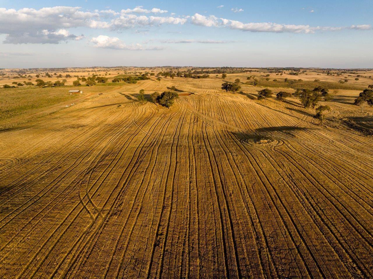 Farm For Sale NSW