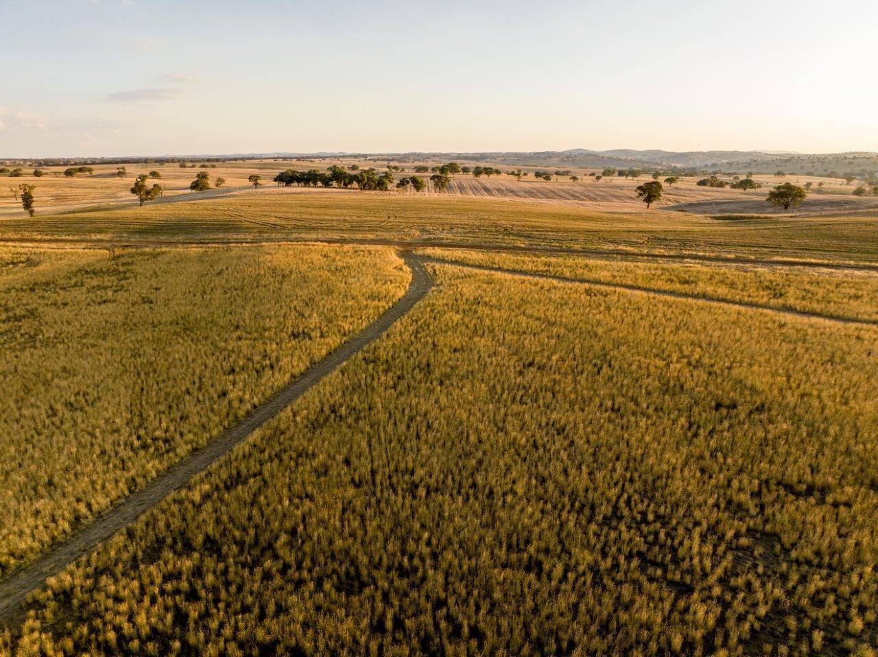 Farm For Sale NSW