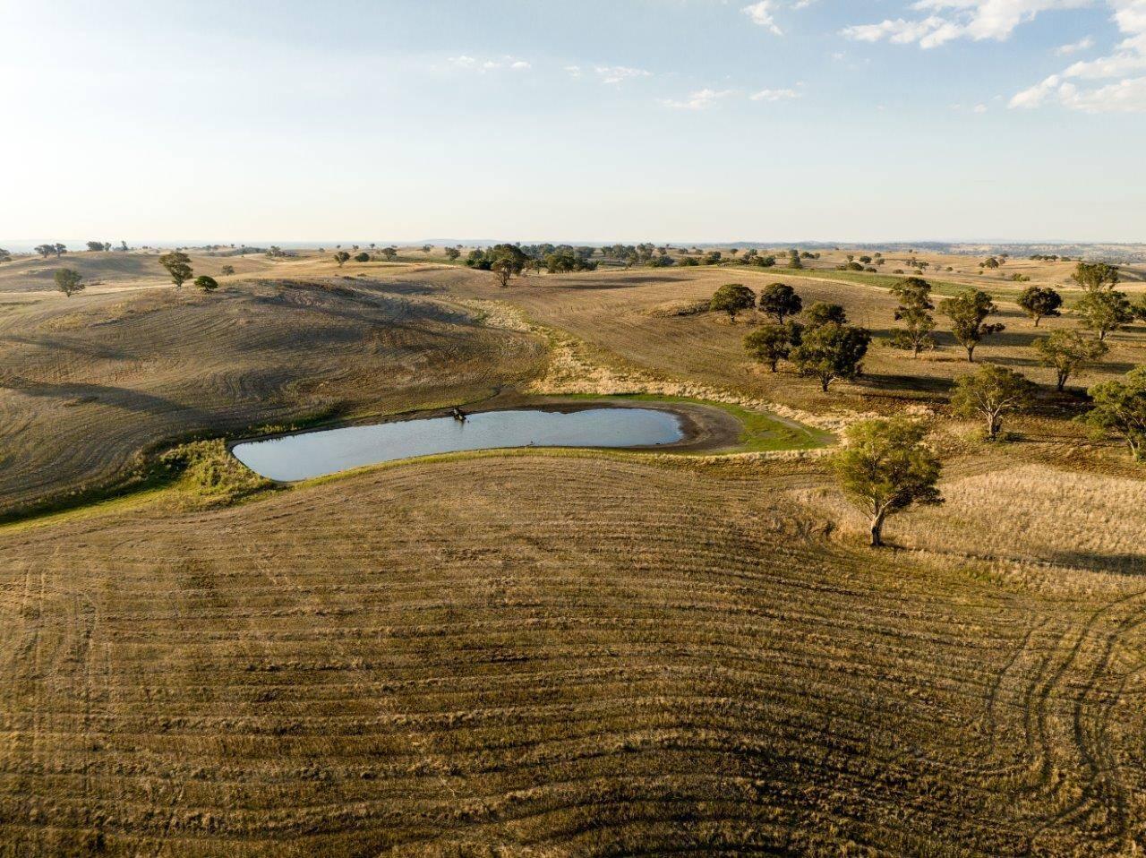 Farm For Sale NSW