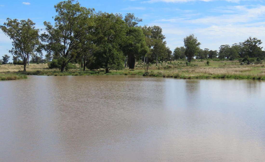 Rural Property For Sale Chinchilla QLD