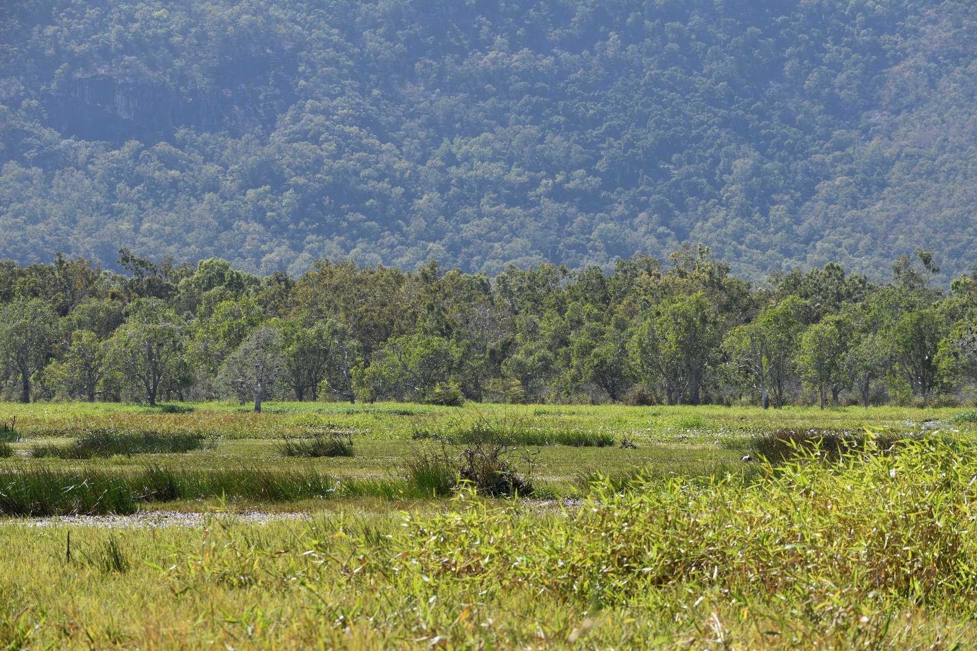 Cattle Property For Sale QLD