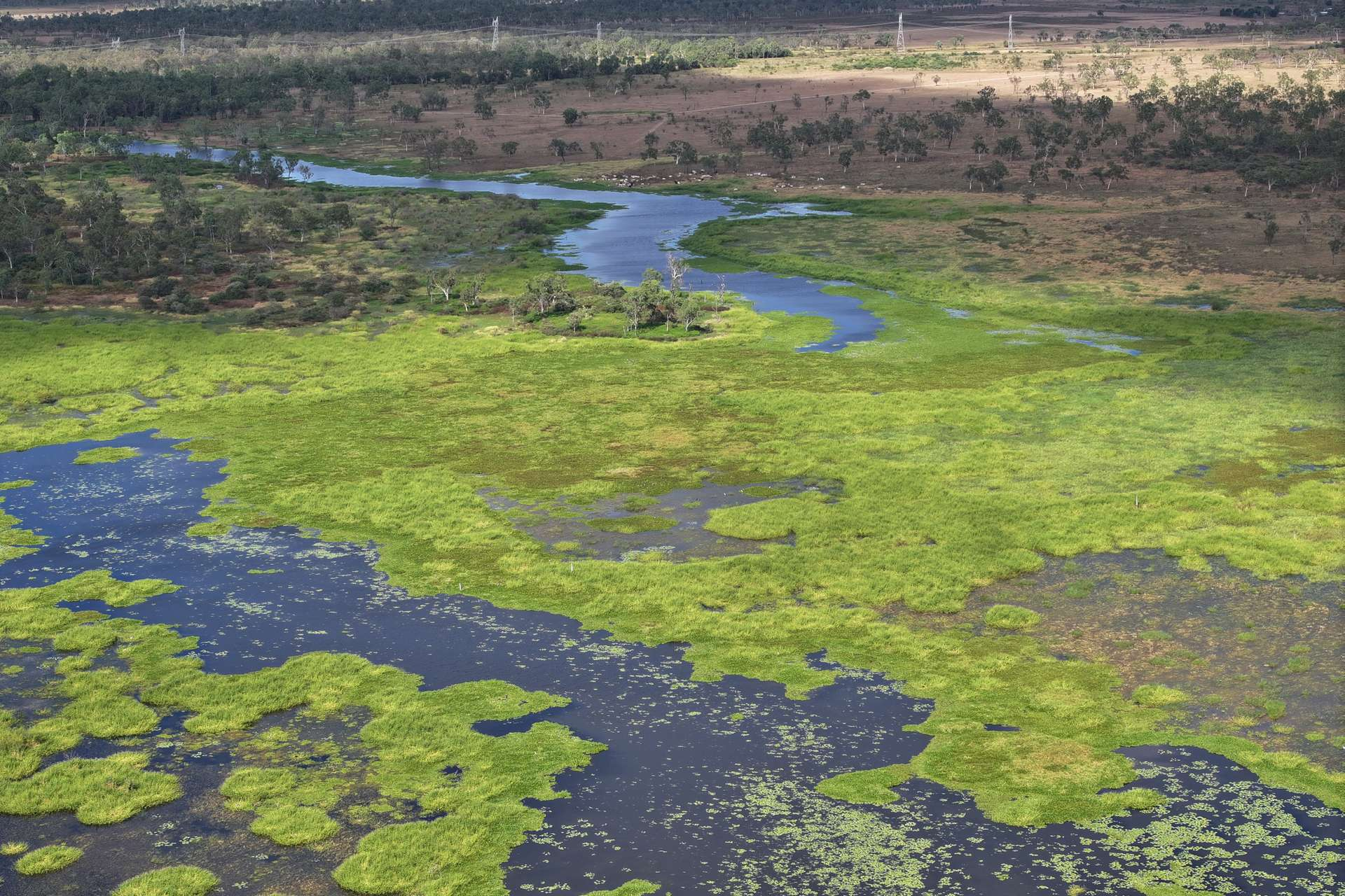Cattle Property For Sale QLD