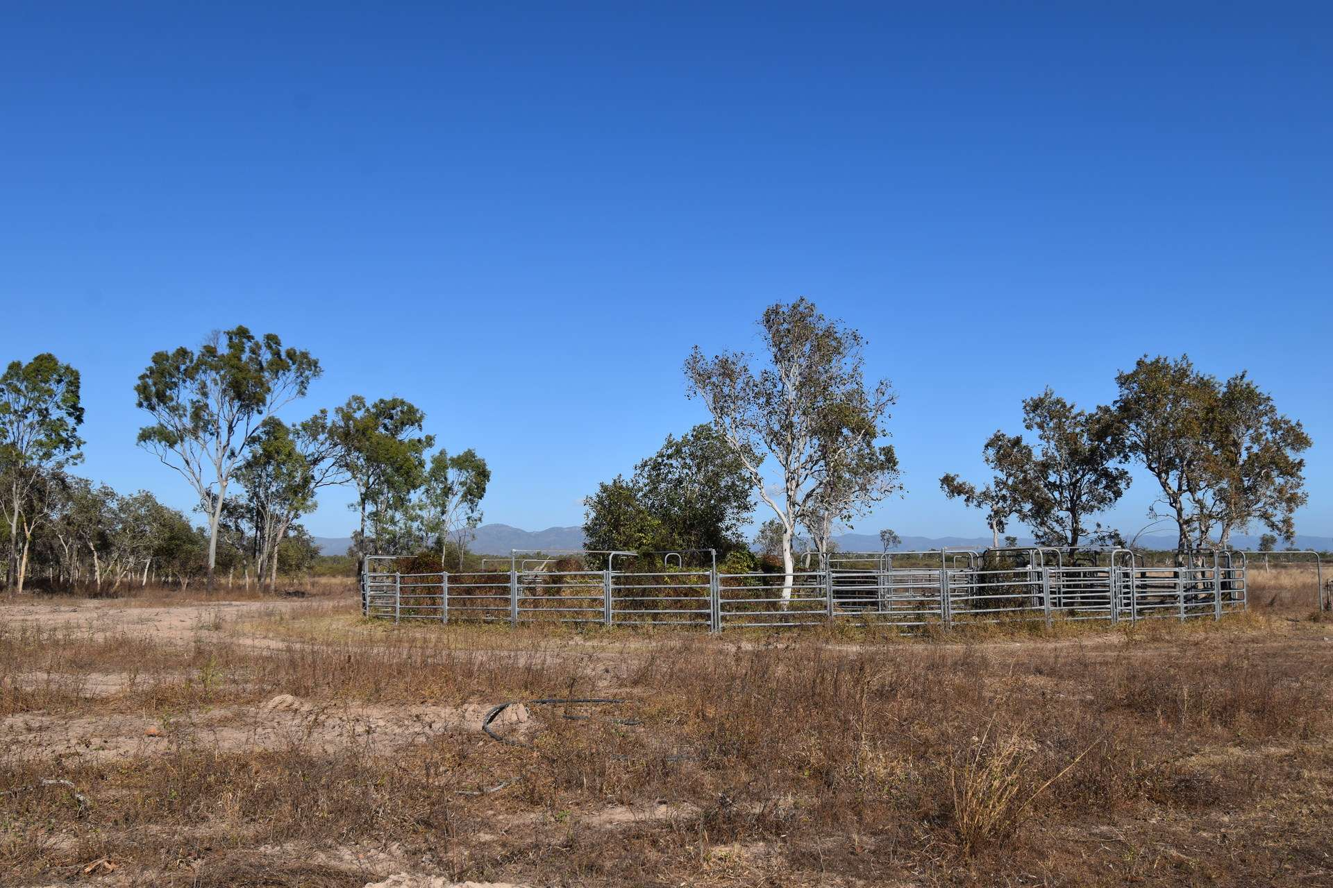 Cattle Property For Sale QLD