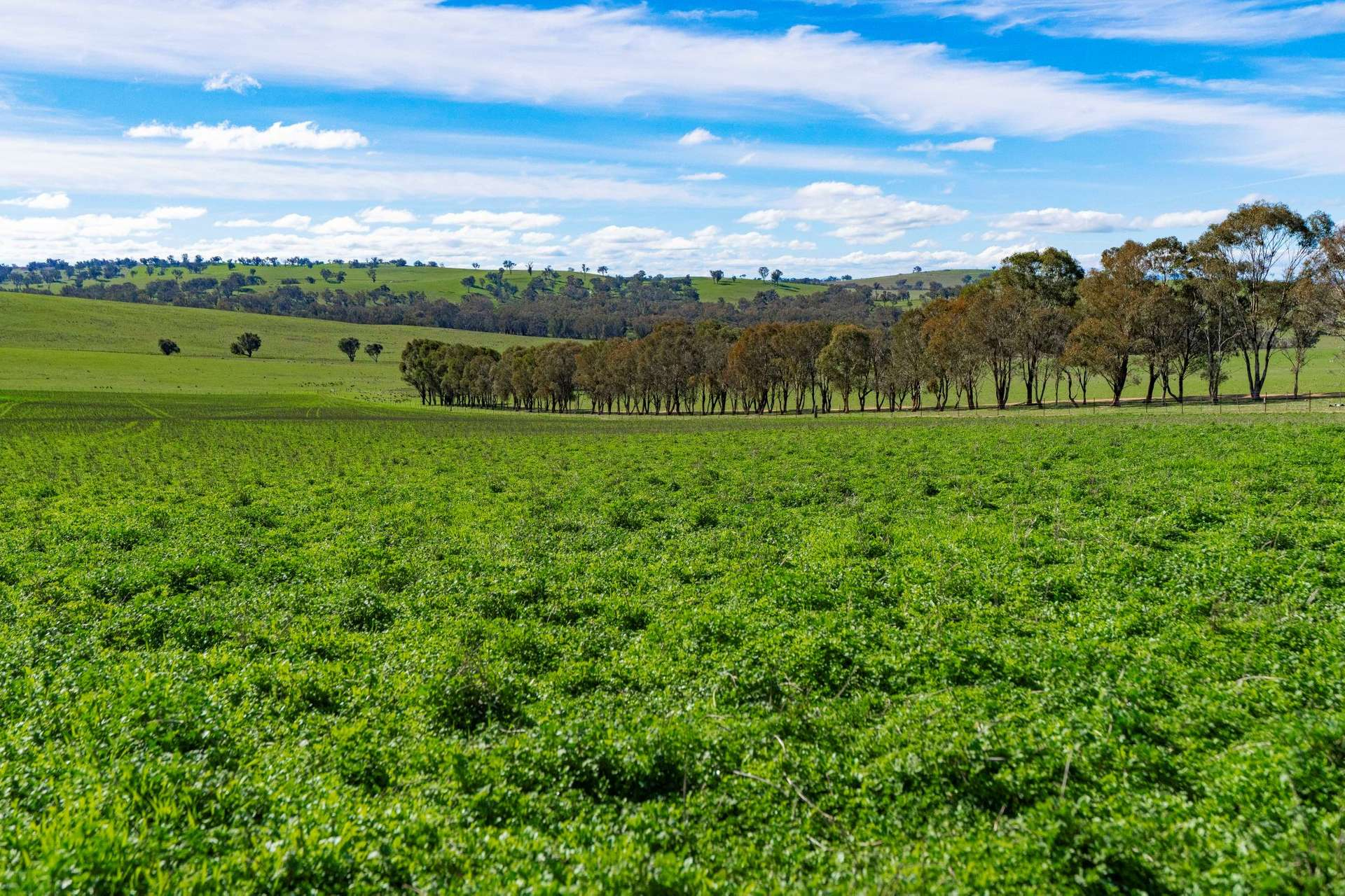 rural property for sale NSW