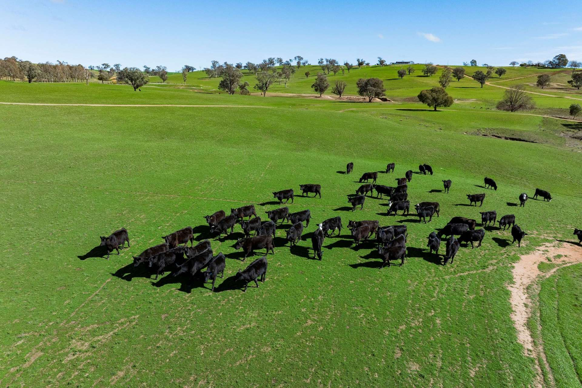 rural property for sale NSW