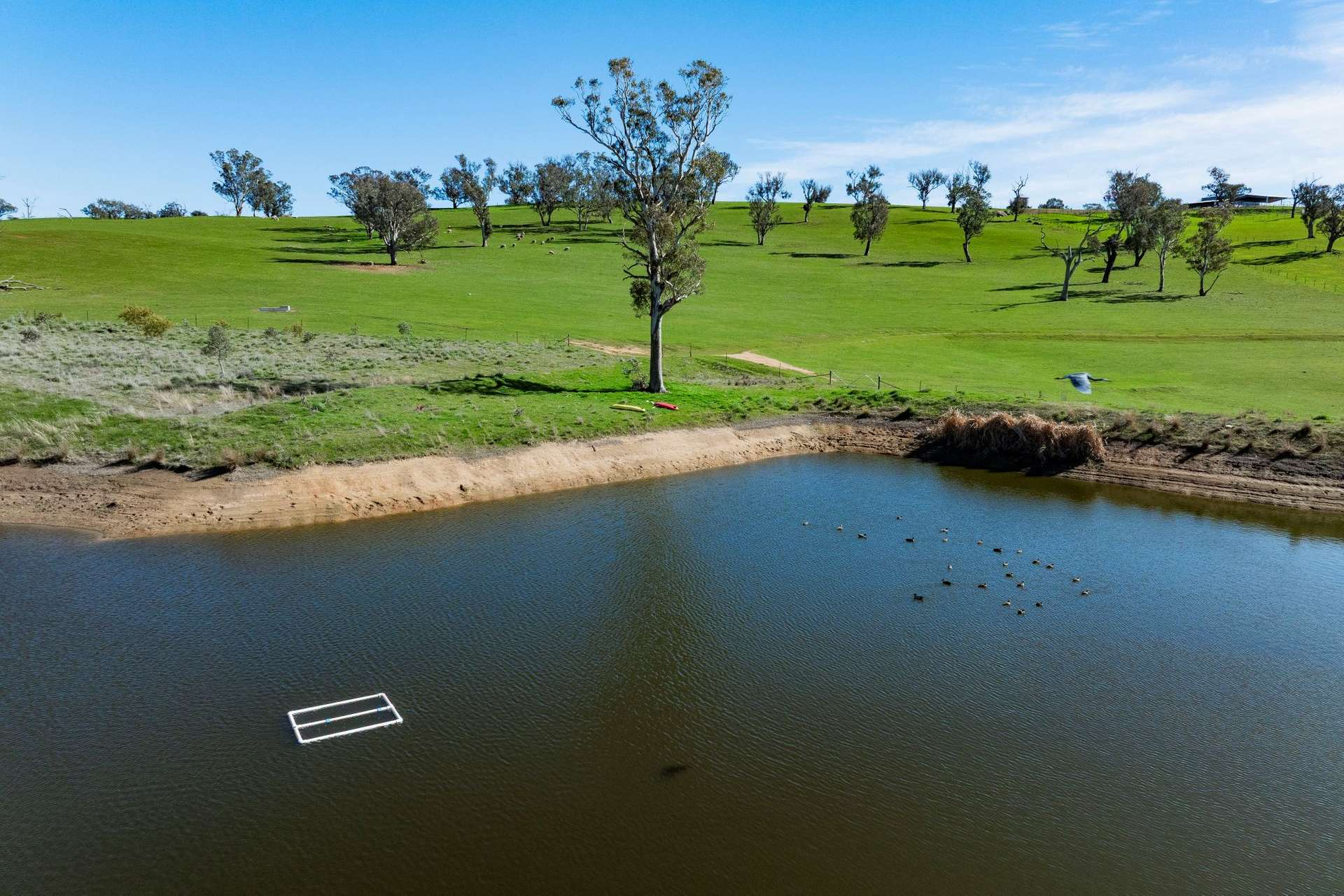 rural property for sale NSW
