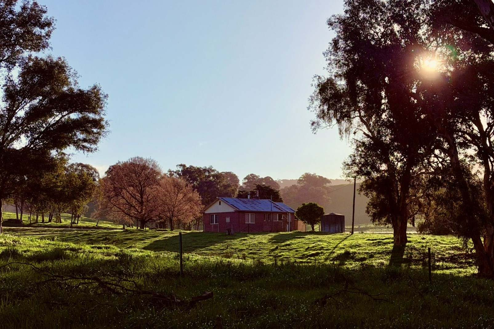 Cattle Property For Sale NSW