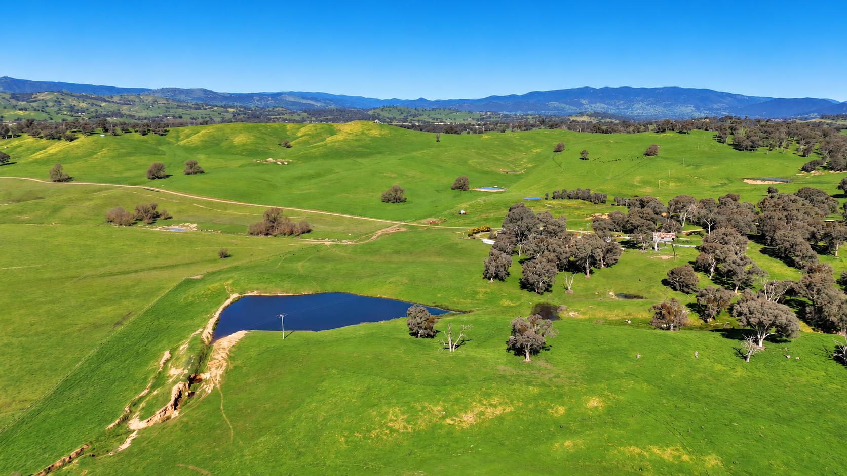 Cattle Property For Sale NSW