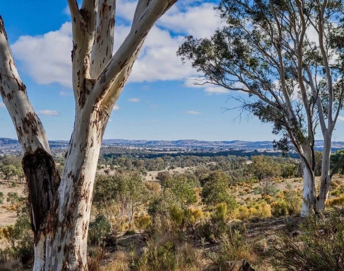 acreage property for sale NSW