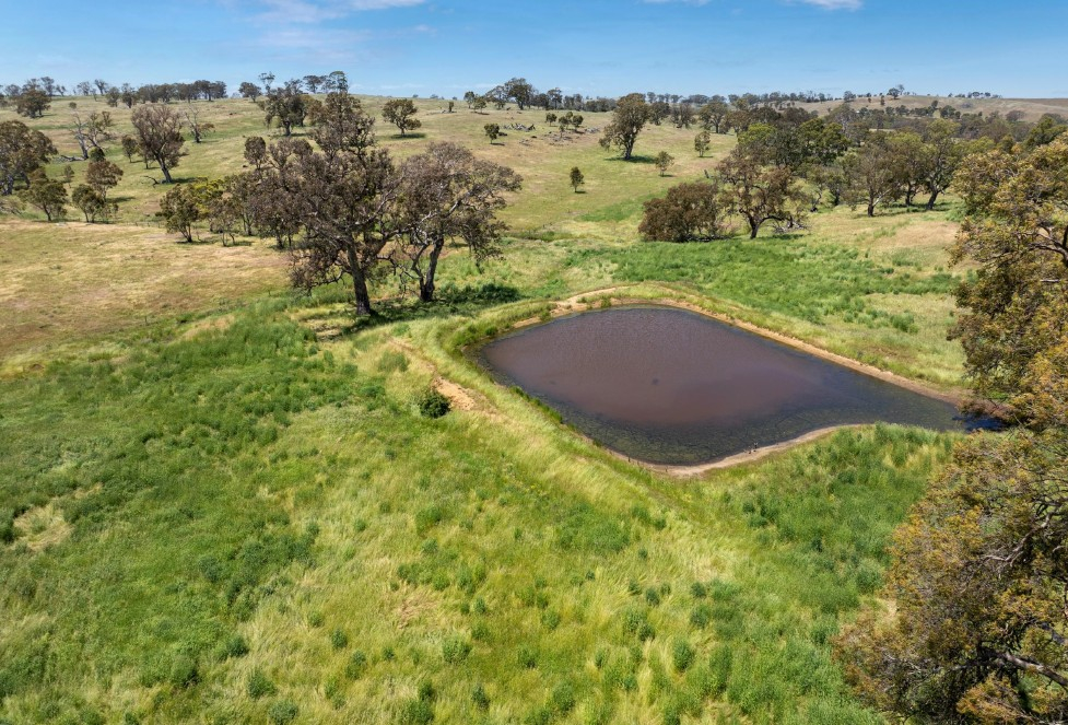 rural property for sale SA