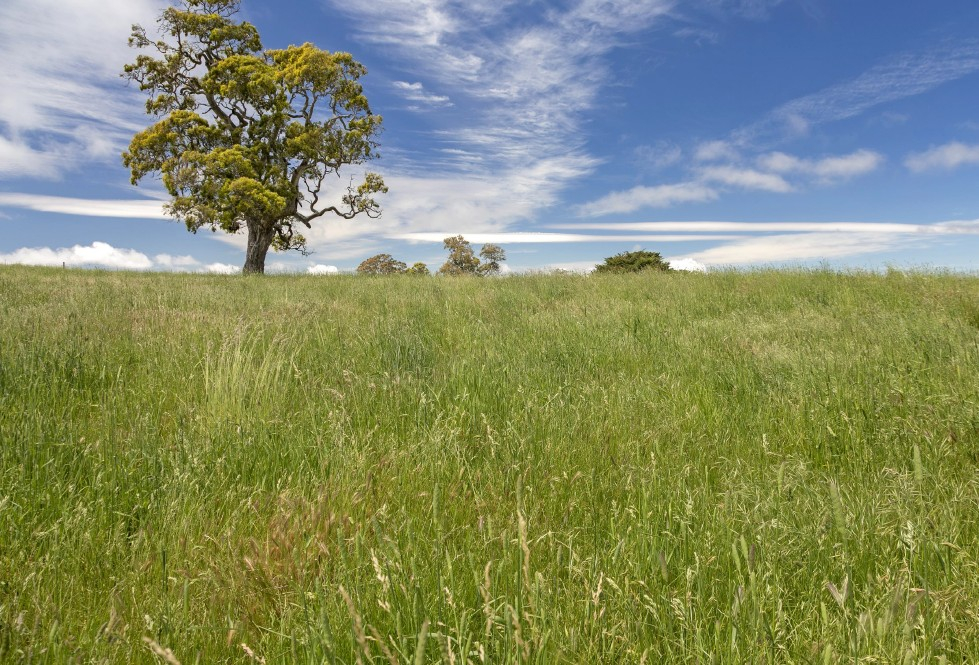 rural property for sale SA